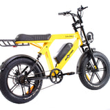 Ape Ryder Colobus A10 20", slika 5