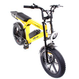 Ape Ryder Colobus A10 20", slika 6