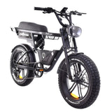 Ape Ryder Jambo Pro, slika 1
