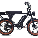 E-Retro, slika 1